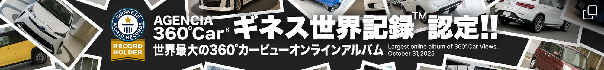 ギネス世界記録™認定